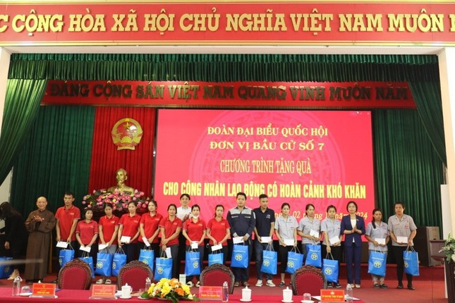 Hà Nội: Cử tri kiến nghị chấn chỉnh tình trạng khai thác cát trên sông Hồng ảnh 1