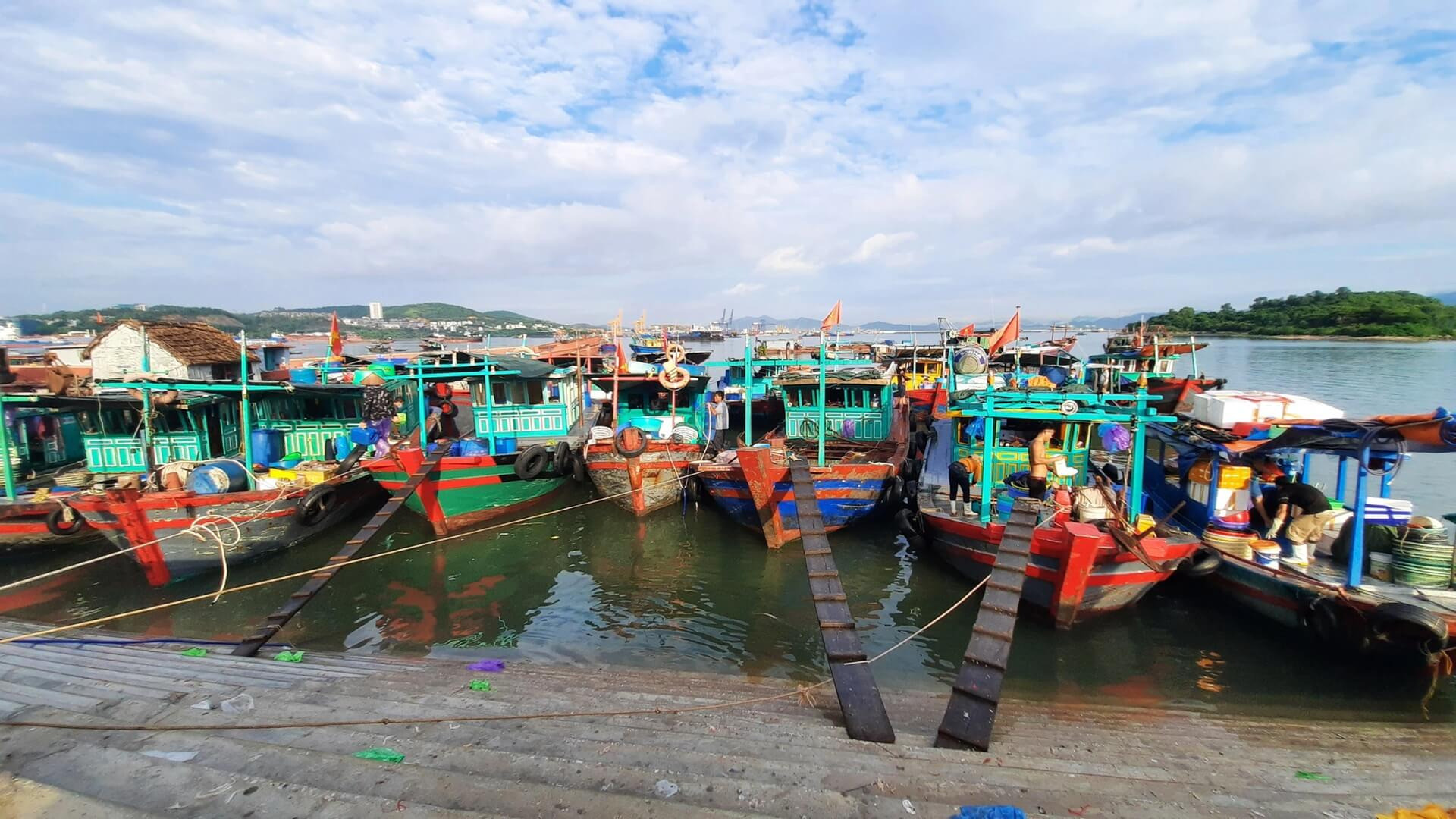 Dự án Cảng cá Hà Phong có quy mô đầu tư lớn, với tổng vốn xây dựng dự kiến khoảng 500 tỉ đồng (Hình minh họa)