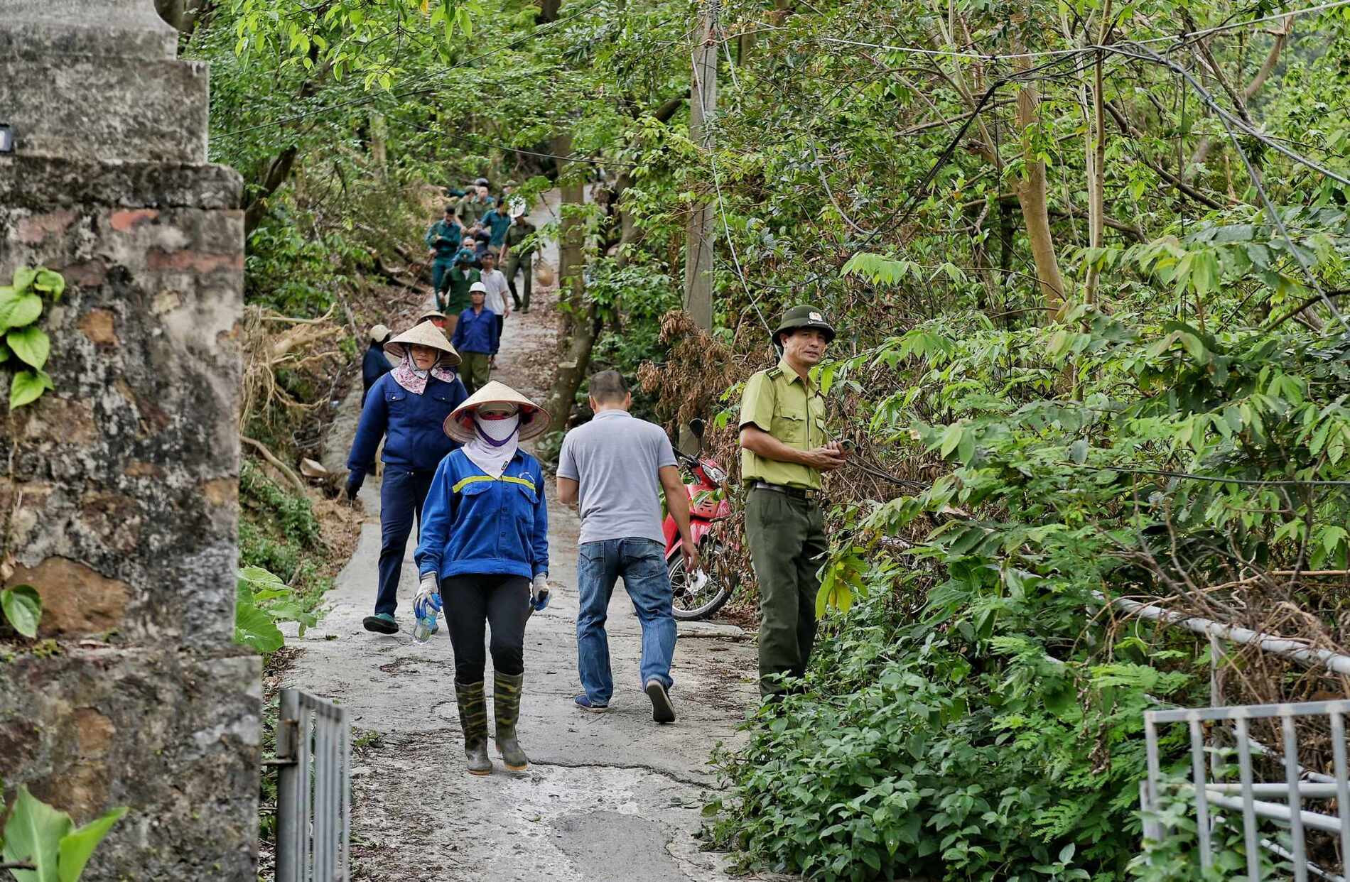 Cháy rừng Km (1).jpeg