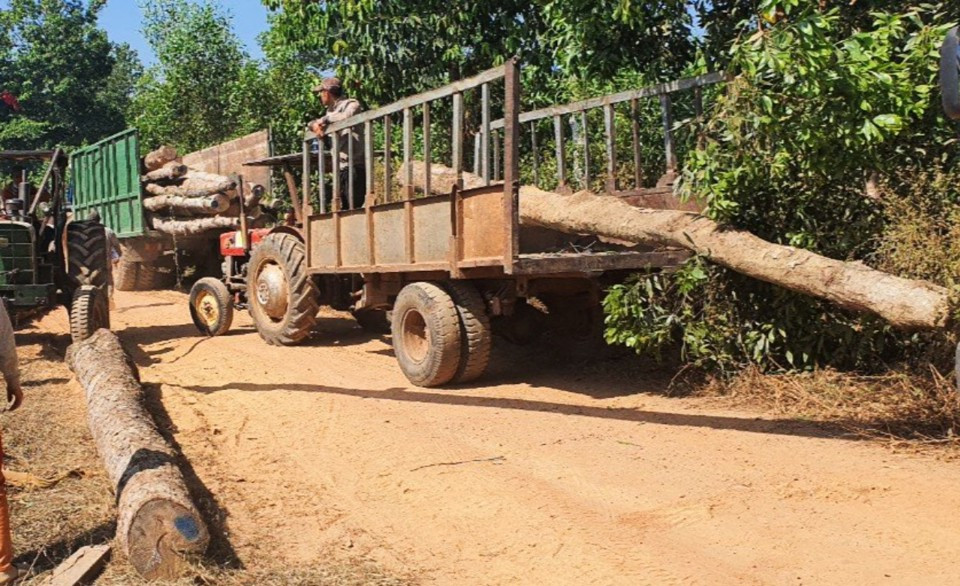 Cơ quan chức năng phát hiện và xử lý một vụ đốn hạ rừng phòng hộ Xuân Lộc.