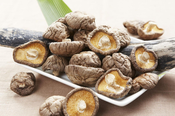 Nấm hương từ lâu đã được người Nhật Bản coi là một phần quan trọng trong ẩm thực hàng ngày. Ảnh: Internet