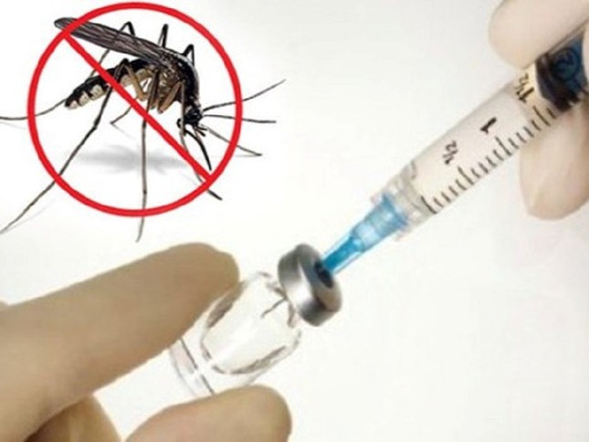 Chưa có số liệu đánh giá hiệu quả của vắc xin sốt xuất huyết ảnh 1