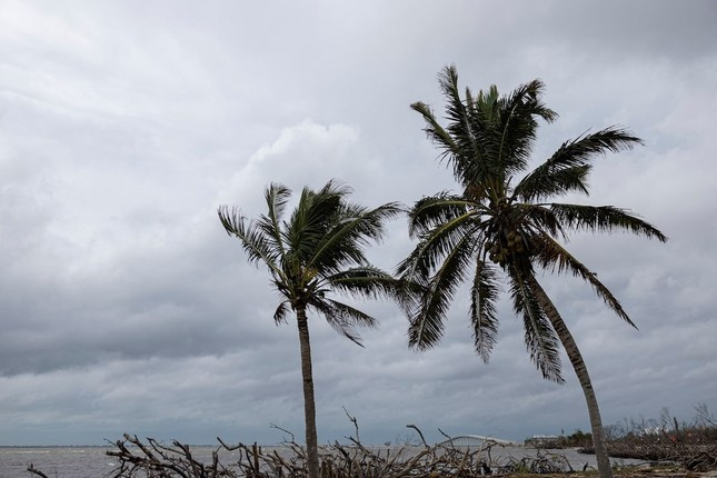 [CẬP NHẬT] Ít nhất hai người thiệt mạng khi siêu bão Milton đổ bộ vào Florida ảnh 4