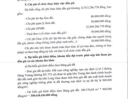 Trích văn bản thông báo đấu giá. Ảnh: Dongnai.gov