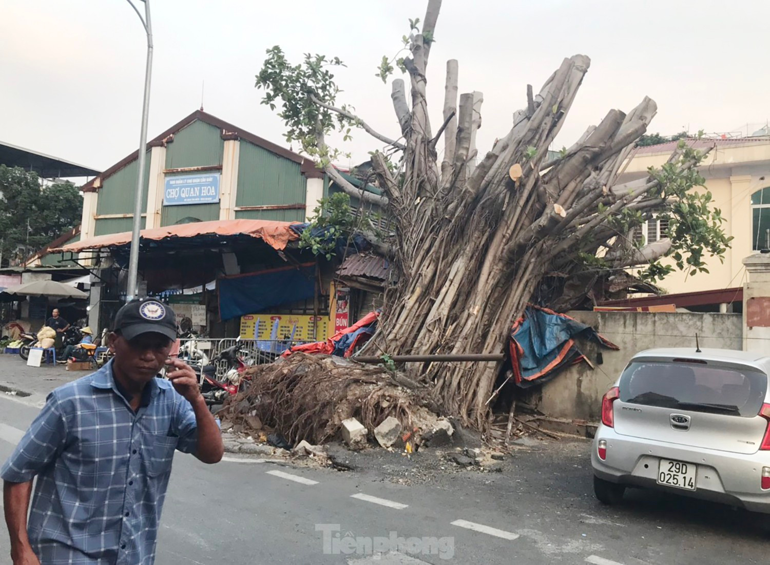 Hơn 1 tháng trôi qua, nhiều cây xanh gãy, đổ ở Hà Nội vẫn chưa được xử lý ảnh 7