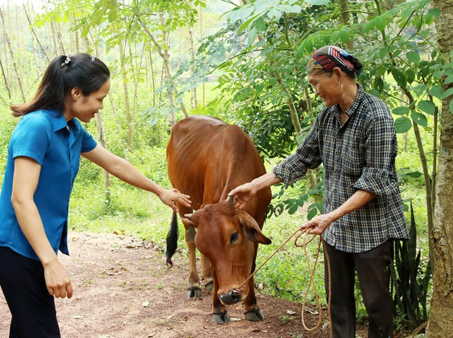 Lạng Giang triển khai nhiều giải pháp hỗ trợ giảm nghèo bền vững ảnh 2