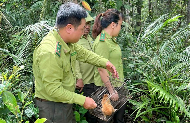 Khu bảo tồn thiên nhiên An Toàn được quy hoạch thành Vườn quốc gia ảnh 1