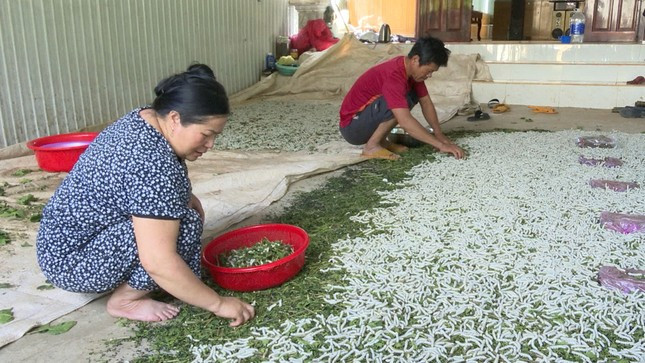 Thu nhập cao nhờ nghề 'ăn cơm đứng' ảnh 1