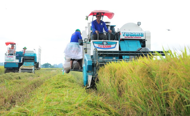 Thủ tướng Phạm Minh Chính: Phải yêu quý cây lúa như bản thân mình ảnh 4