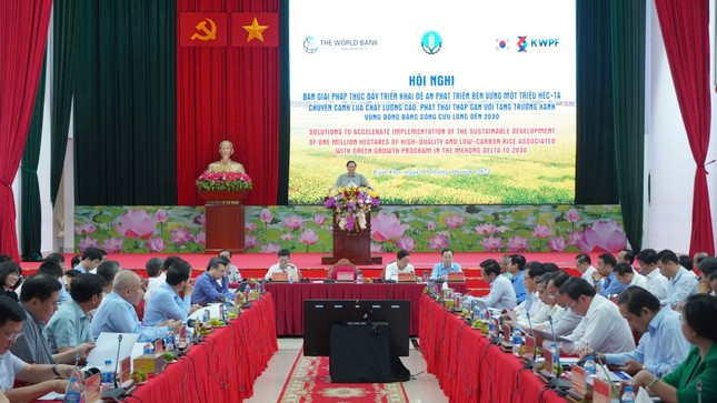 Thủ tướng Phạm Minh Chính: Phải yêu quý cây lúa như bản thân mình ảnh 1