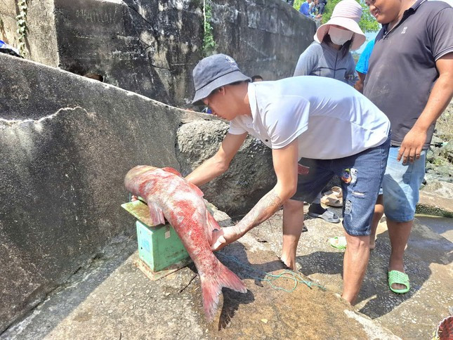 Người dân ùa xuống đập tràn nhà máy thủy điện Trị An săn 'lộc trời' ảnh 5