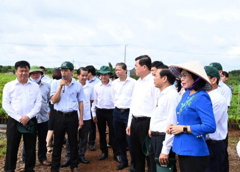 Lãnh đạo tỉnh Đồng Nai thăm và làm việc tại Tổng Công ty Cao su Đồng Nai.