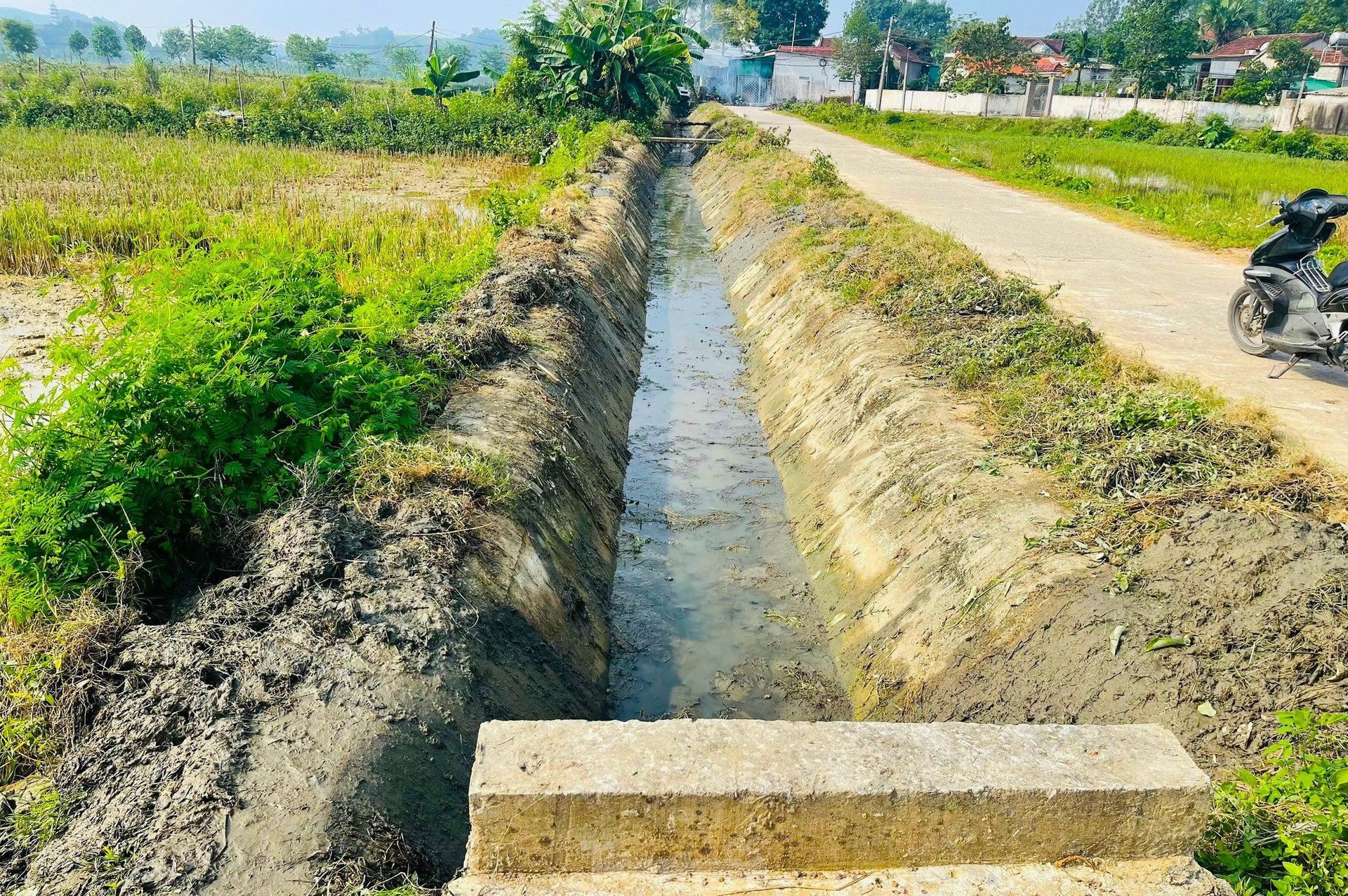 Hàng nghìn đoàn viên thanh niên nạo vét kênh mương, hưởng ứng ngày toàn dân làm thủy lợi ảnh 12