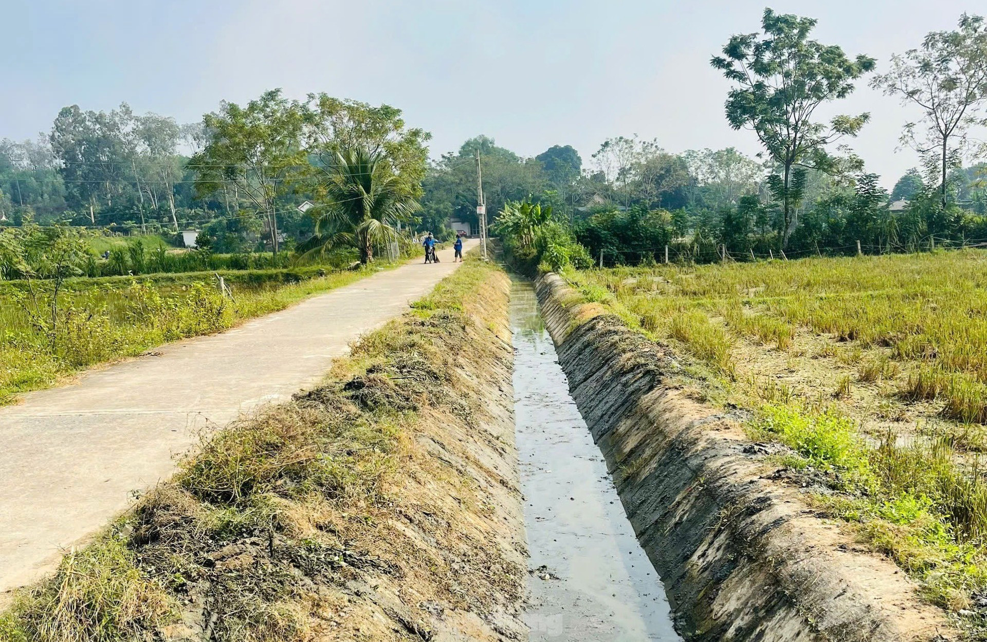 Hàng nghìn đoàn viên thanh niên nạo vét kênh mương, hưởng ứng ngày toàn dân làm thủy lợi ảnh 13