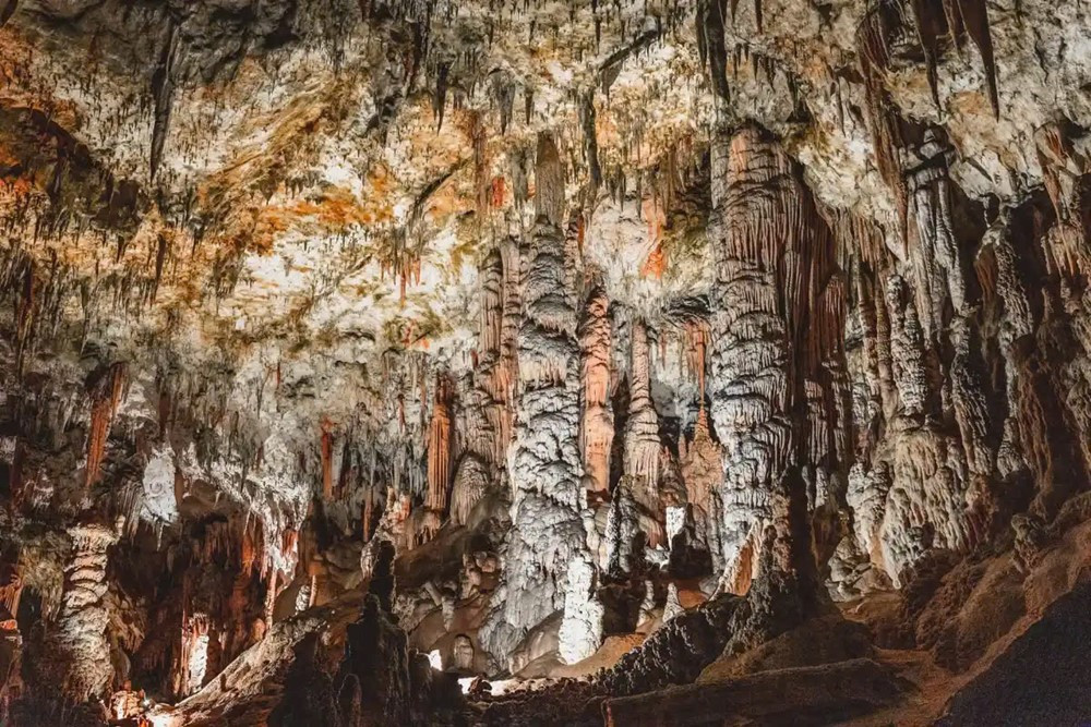 Bên trong hang động dài 24km đặt bưu điện dưới lòng đất đầu tiên trên thế giới, ẩn chứa cả loài ‘rồng non’ có thể sống tới 100 năm - ảnh 2