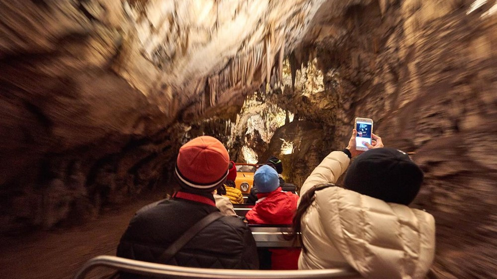 Bên trong hang động dài 24km đặt bưu điện dưới lòng đất đầu tiên trên thế giới, ẩn chứa cả loài ‘rồng non’ có thể sống tới 100 năm - ảnh 7