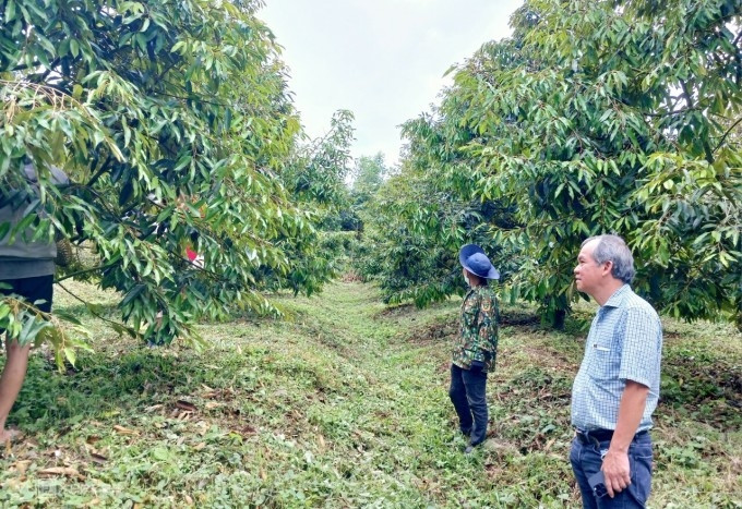 Mô hình '2 cây, 1 con' phát huy hiệu quả, Hoàng Anh Gia Lai của bầu Đức trung bình lãi hơn 3 tỷ đồng/ngày