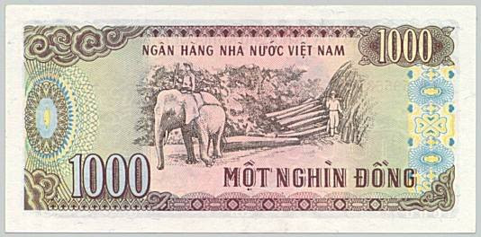 Hình ảnh in trên mặt sau tờ tiền Việt Nam không phải ai cũng biết ảnh 3