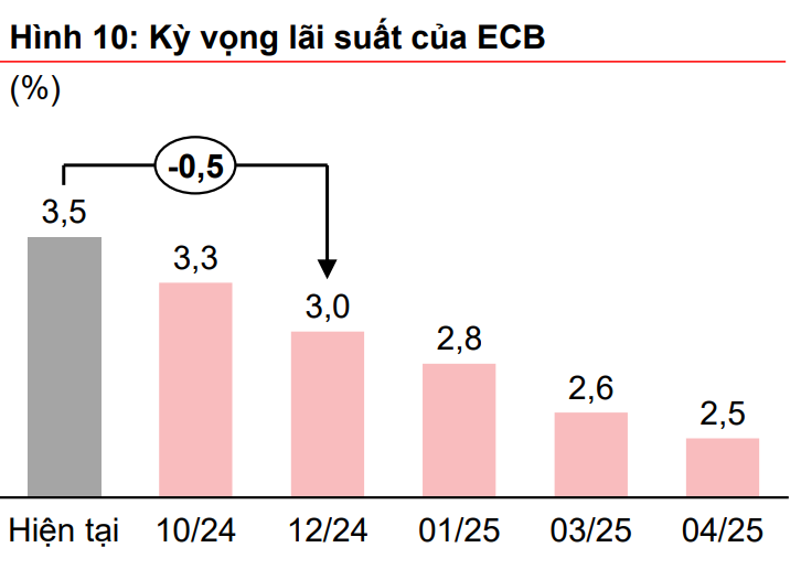 Cơn sốt hạ lãi suất toàn cầu: Cơ hội vàng cho kinh tế Việt Nam?