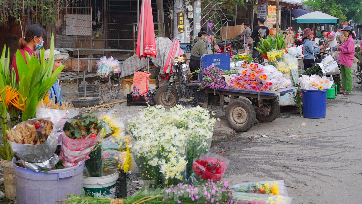 Nông dân làng hoa Mê Linh mất mùa 20/10, 'mót' từng bông hồng để bán ảnh 12