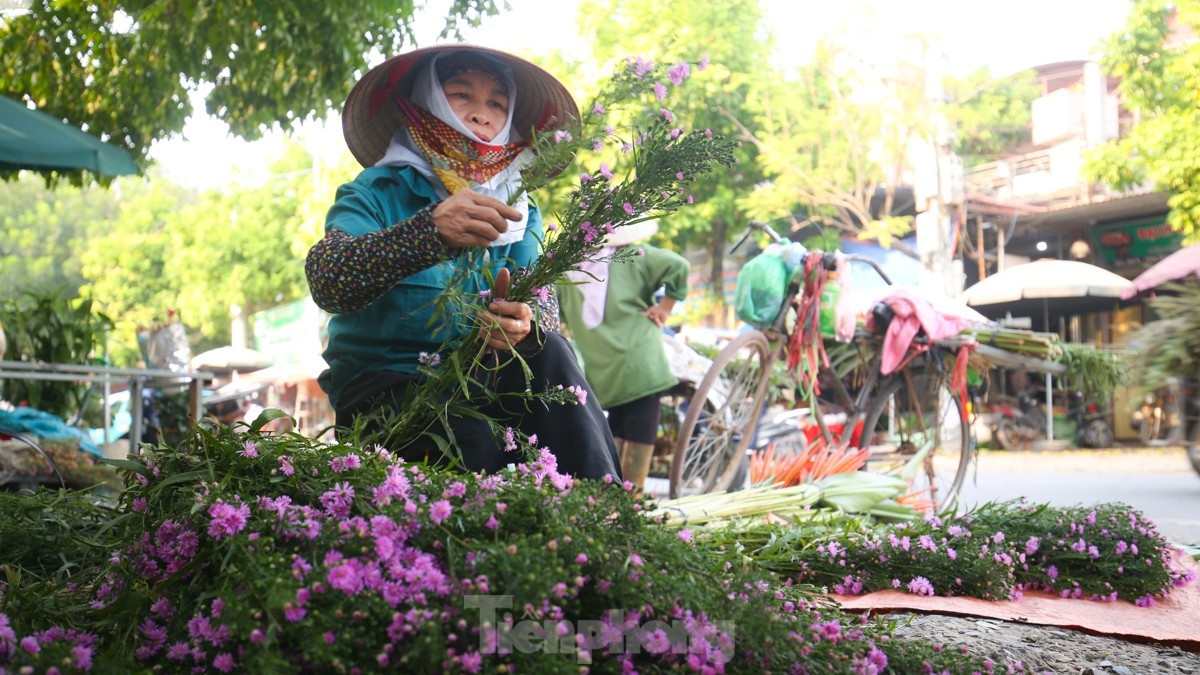 Nông dân làng hoa Mê Linh mất mùa 20/10, 'mót' từng bông hồng để bán ảnh 13