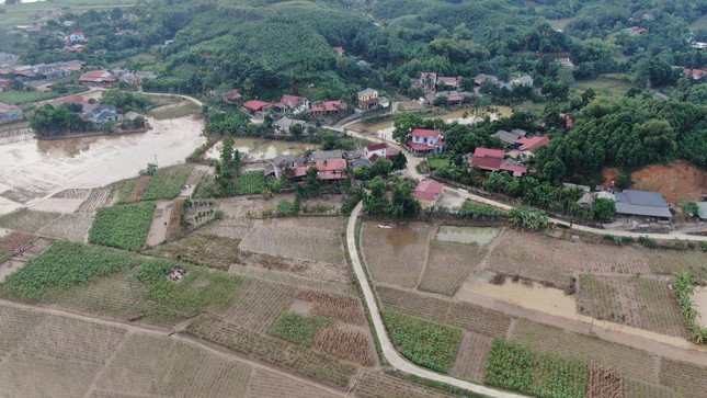 Yên Bái: Nỗ lực 'cứu' vùng trồng cây trái bị bão lũ vùi lấp ảnh 6