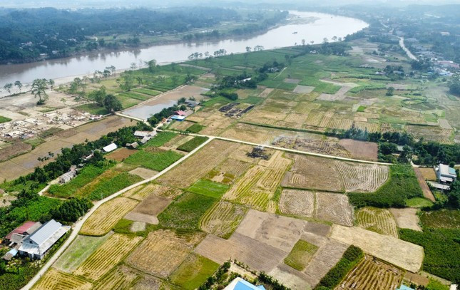 Yên Bái: Nỗ lực 'cứu' vùng trồng cây trái bị bão lũ vùi lấp ảnh 19