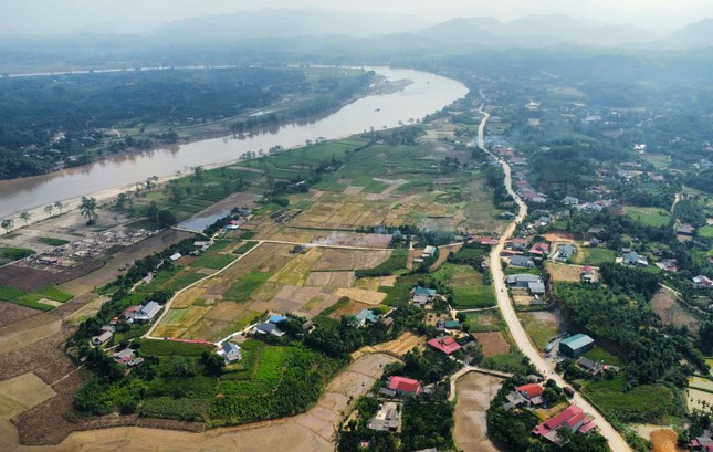 Yên Bái: Nỗ lực 'cứu' vùng trồng cây trái bị bão lũ vùi lấp ảnh 2