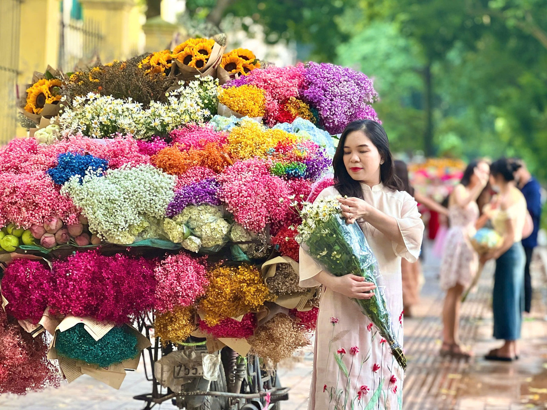 Những bó cúc hoạ mi 'sống sót' sau mưa lũ khoe sắc giữa phố phường Thủ đô ảnh 8