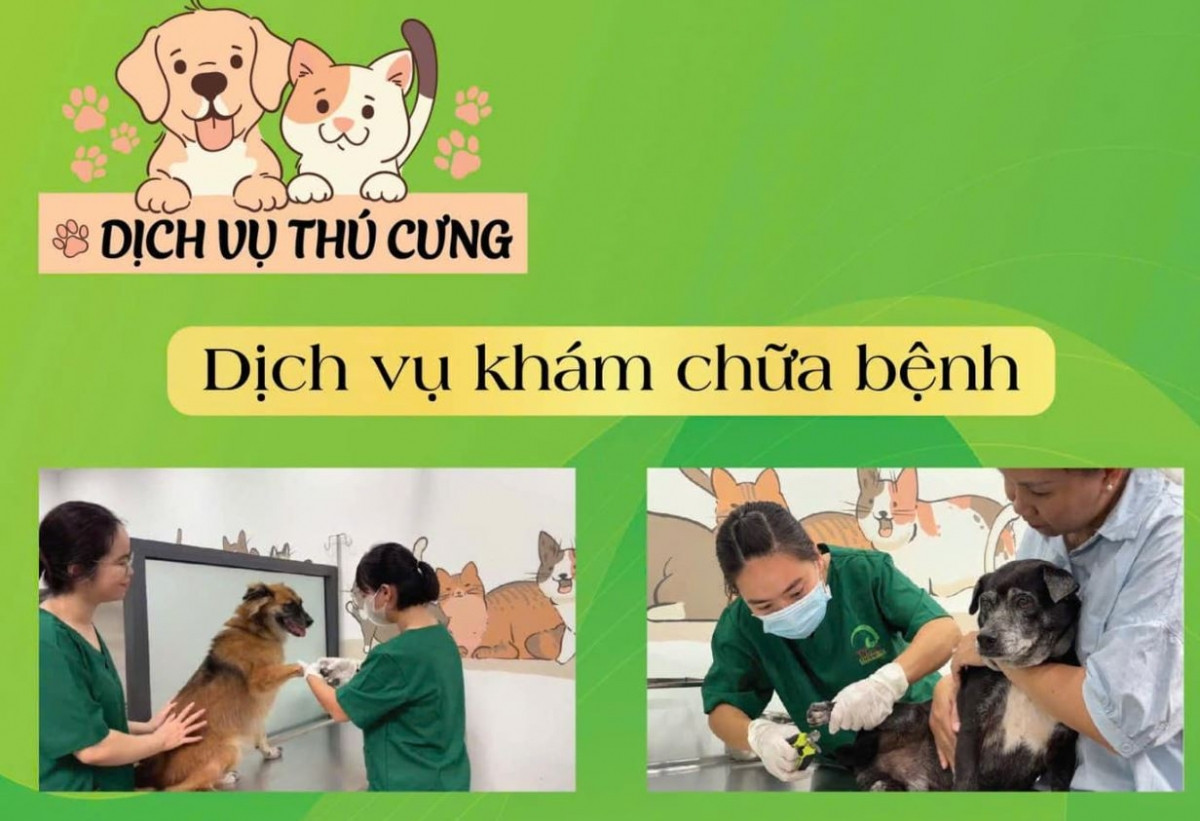 Thảo Cầm Viên Sài Gòn liên tiếp ra mắt những dịch vụ mới: Vườn thú hơn 160 tuổi 'bắt trend'