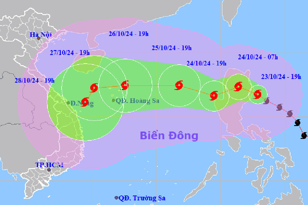 bao tra mi 23 10.jpg