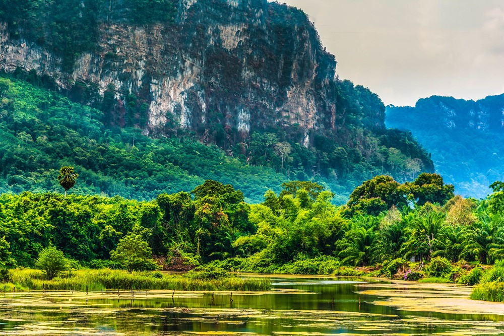 Vườn quốc gia rộng hơn 2.000km2 trải dài trên 4 tỉnh, được công nhận là Di sản thế giới - ảnh 2