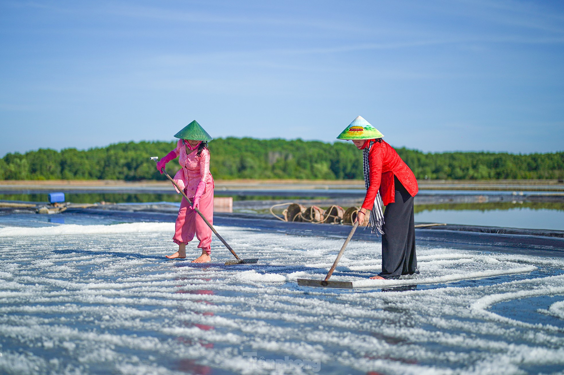 Bảng giá đất mới: 'Tác động lớn nhất' tại nơi có giá đất thấp nhất TPHCM ảnh 8