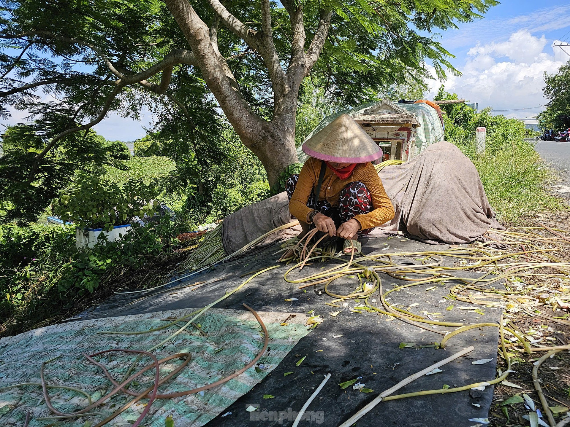 Tận thấy bông súng dài 3m ở đầu nguồn lũ ảnh 15