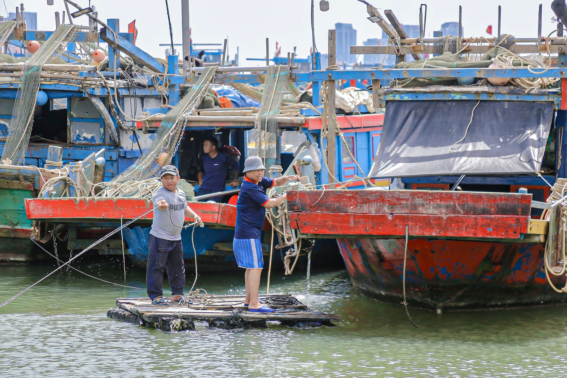 Ngư dân Đà Nẵng hối hả vào bờ, neo đậu tàu thuyền tránh bão Trà Mi ảnh 6