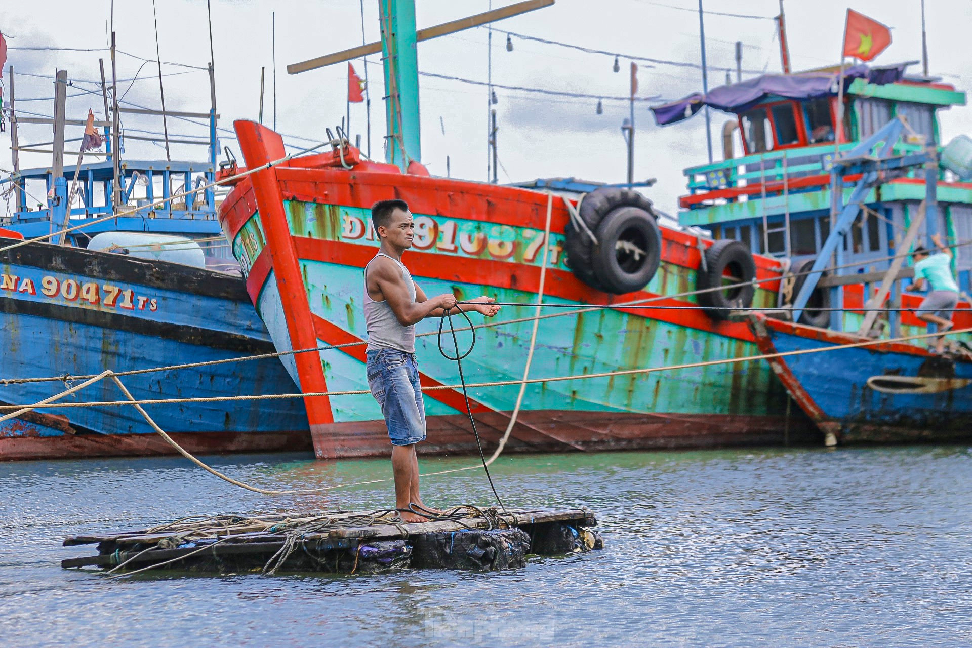 Ngư dân Đà Nẵng hối hả vào bờ, neo đậu tàu thuyền tránh bão Trà Mi ảnh 7