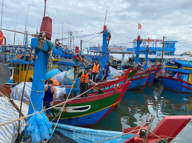 Thủ tướng yêu cầu ứng phó với bão Trà Mi theo phương châm 'bốn tại chỗ' ảnh 1