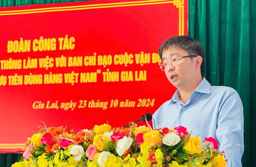 0thu truong bo thong tin va truyen thong bui hoang phuong phat bieu tai buoi lam viec anh tran dung 7668 9046.jpg