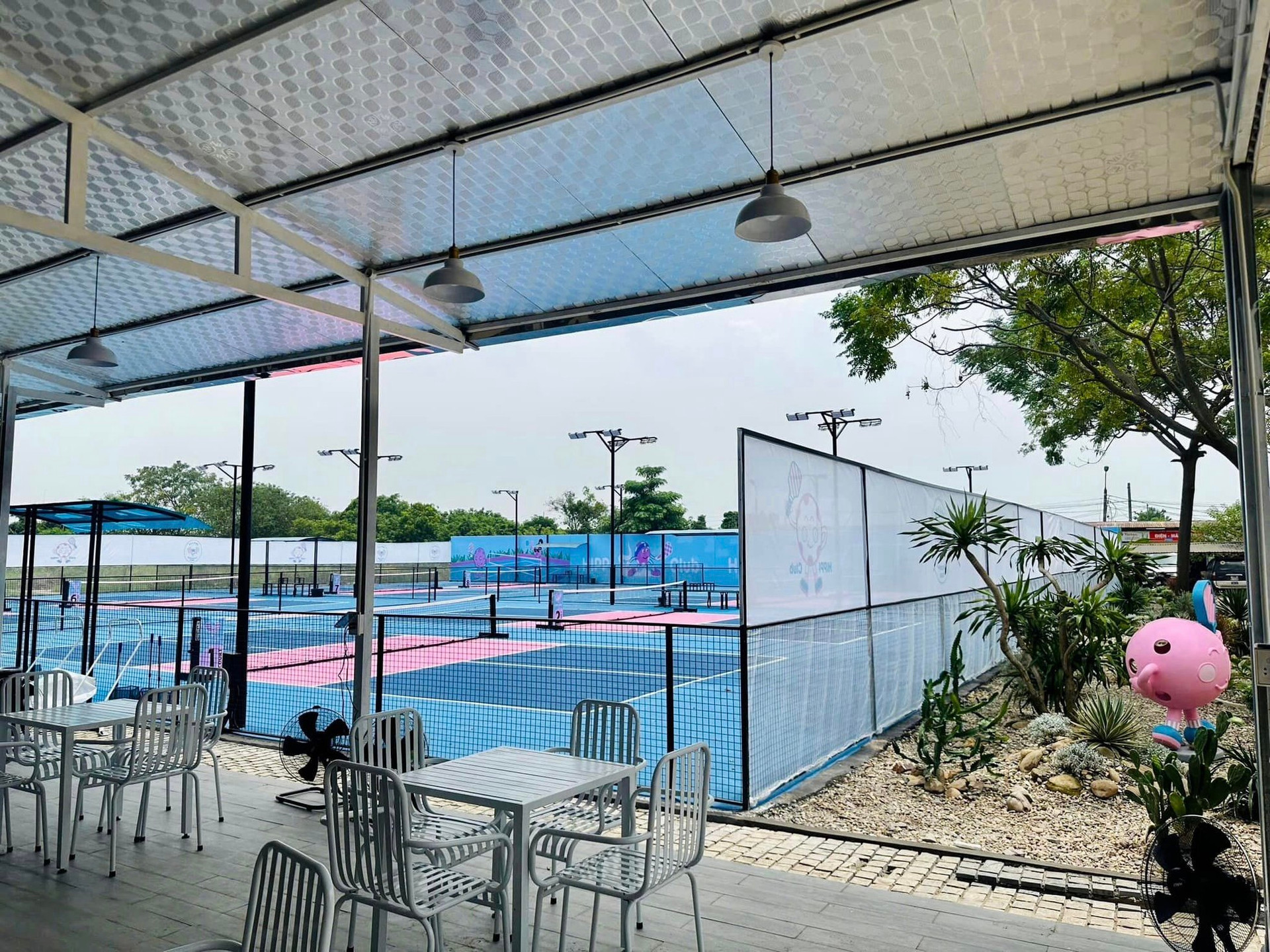 Cận cảnh đất dự án, đất nông nghiệp ‘biến hoá’ thành sân pickleball ảnh 8