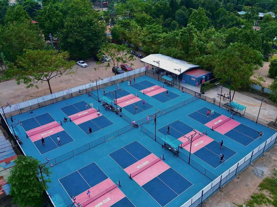 Cận cảnh đất dự án, đất nông nghiệp ‘biến hoá’ thành sân pickleball ảnh 7