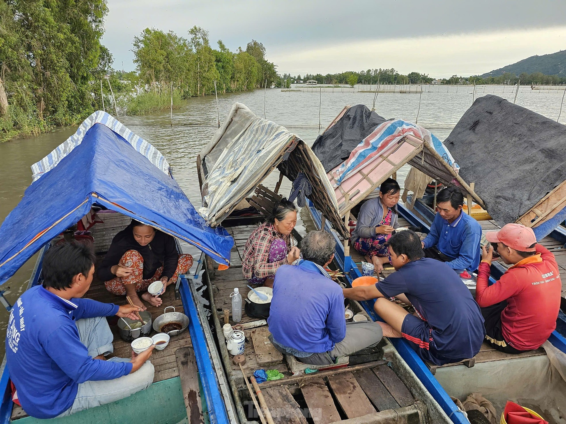 Mưu sinh mùa nước nổi: 'Kiếm được đồng tiền rơi nước mắt' ảnh 16