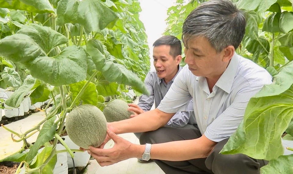 Bộ LĐTB&XH ghi nhận đề xuất tăng mức hỗ trợ đóng BHXH vào trong quá trình xây dựng Nghị định để trình Chính phủ trong năm 2025.. Ảnh: Ánh Ngọc.