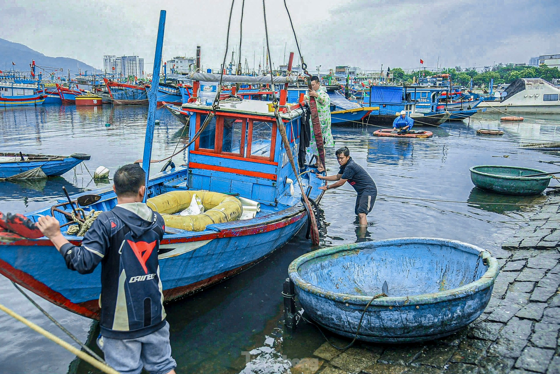 Ngư dân Đà Nẵng tất bật cẩu thuyền lên bờ tránh bão ảnh 7