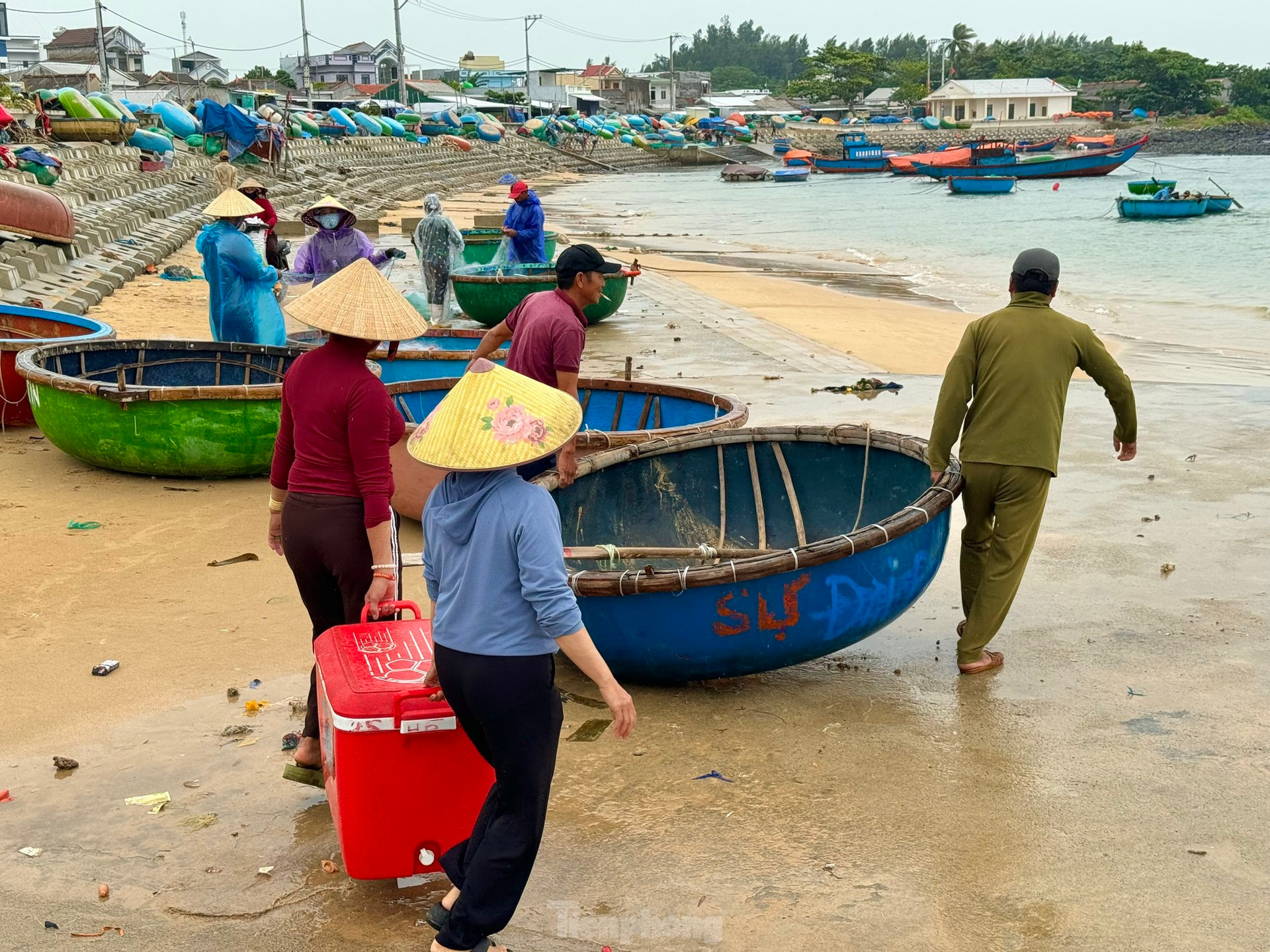 Ngư dân Quảng Ngãi ‘đánh cược’ tính mạng, dong thúng ra khơi bất chấp lệnh cấm biển ảnh 4