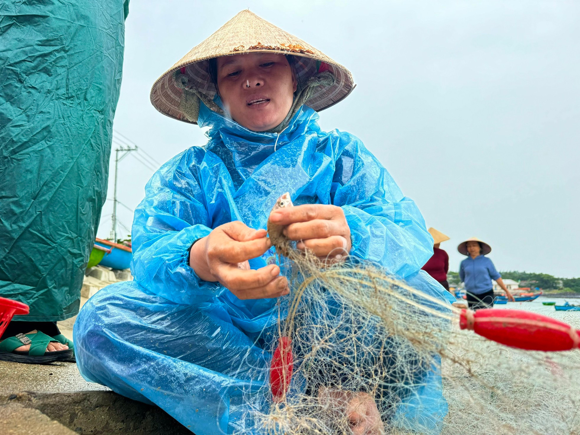 Ngư dân Quảng Ngãi ‘đánh cược’ tính mạng, dong thúng ra khơi bất chấp lệnh cấm biển ảnh 15