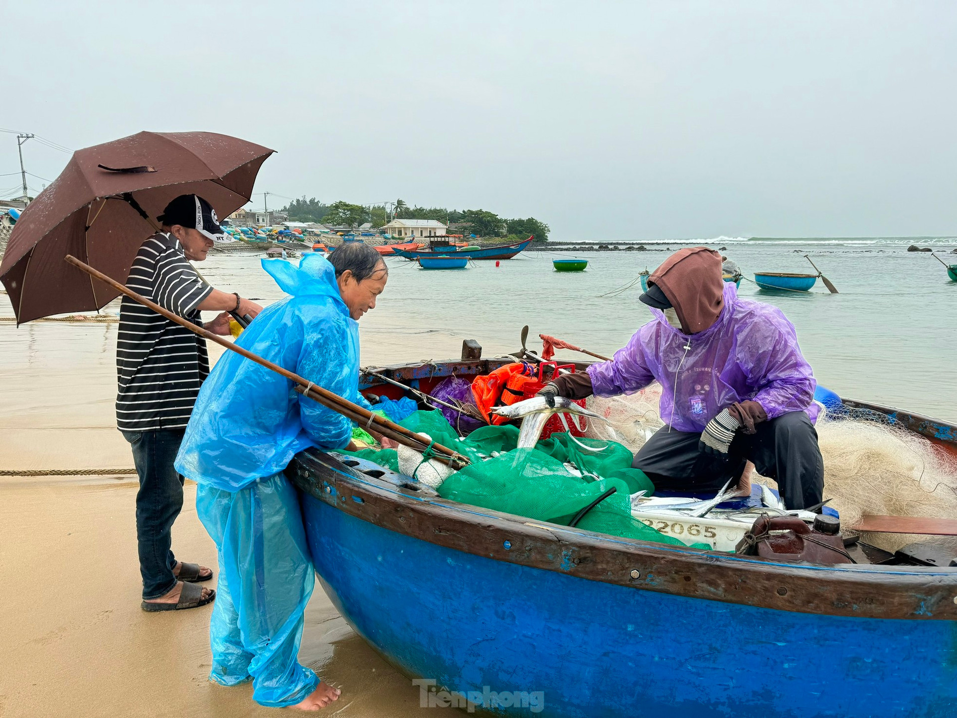 Ngư dân Quảng Ngãi ‘đánh cược’ tính mạng, dong thúng ra khơi bất chấp lệnh cấm biển ảnh 8