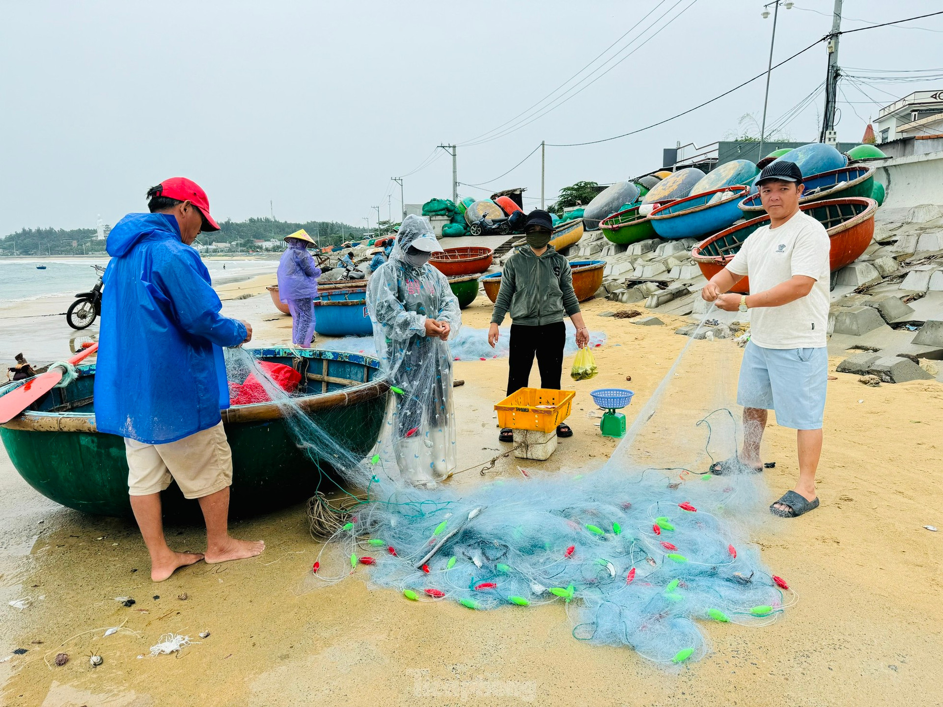 Ngư dân Quảng Ngãi ‘đánh cược’ tính mạng, dong thúng ra khơi bất chấp lệnh cấm biển ảnh 14