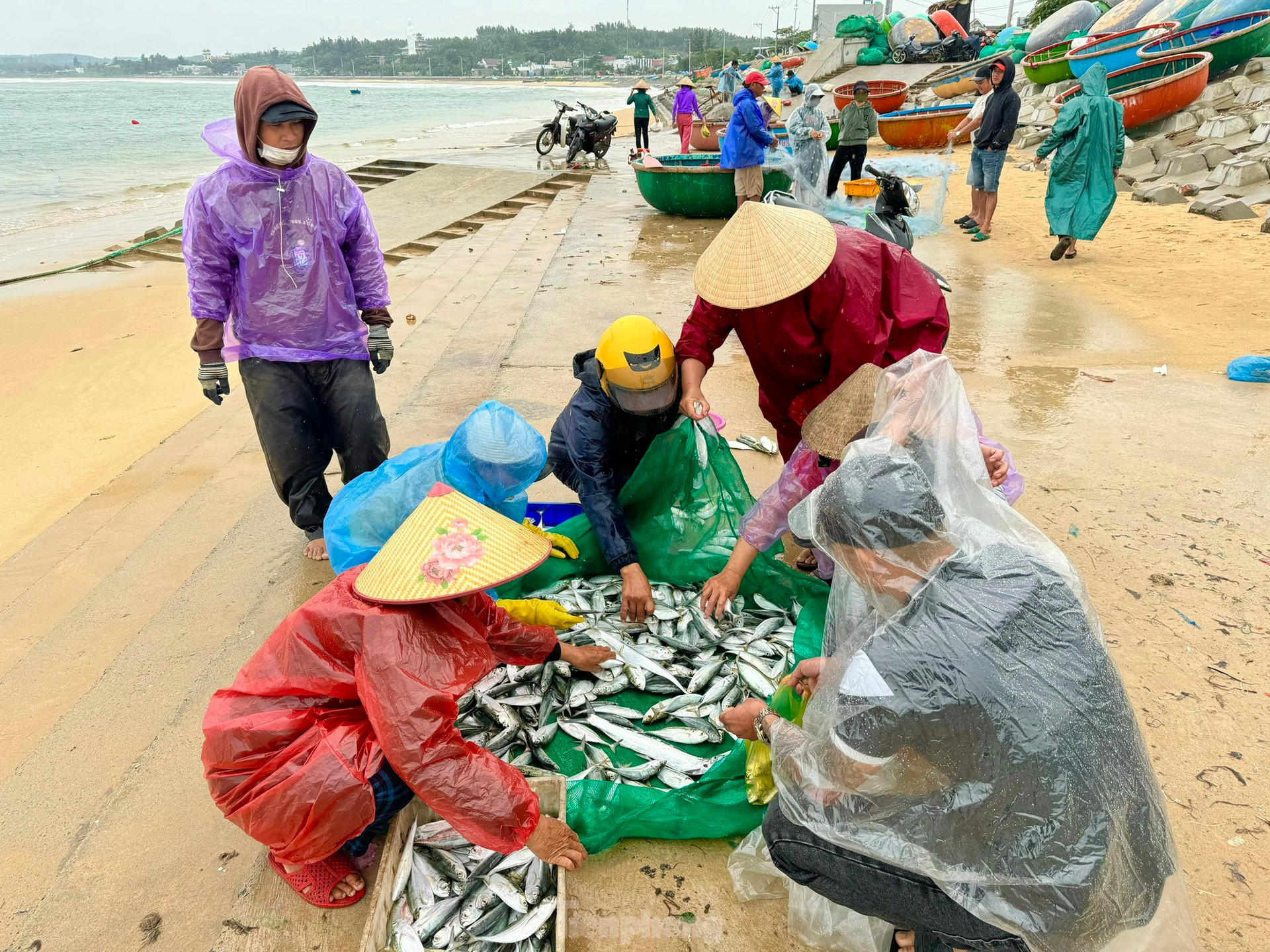 Ngư dân Quảng Ngãi ‘đánh cược’ tính mạng, dong thúng ra khơi bất chấp lệnh cấm biển ảnh 13