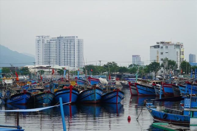 Bão Trà Mi sẽ gây mưa dữ dội ở miền Trung ảnh 3