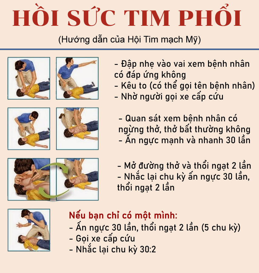 Info VNN Hoi suc tim phoi.jpg